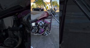 #chopper #harley #harleydavidson #shovelhead