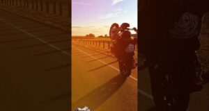 Burning Rubber & #RidingOn #harleydavidson #harleylife #harleystunt