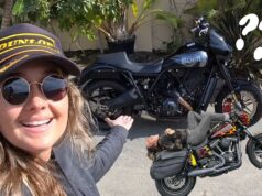 Buell Super Cruiser VS Harley Davidson Dyna!