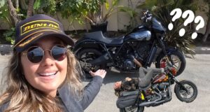 Buell Super Cruiser VS Harley Davidson Dyna!